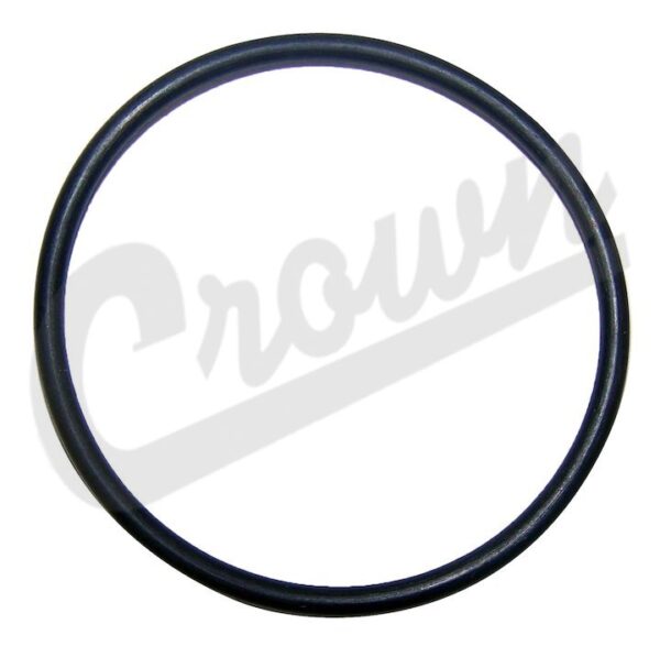 O-Ring