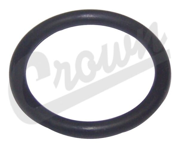 Oil Filter Adapter O-Ring