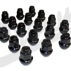 Lug Nut Kit (Black)