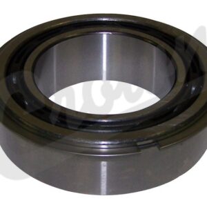 Input Shaft Bearing