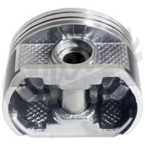 Piston & Pin