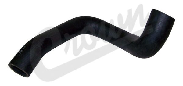 Radiator Hose (Lower-Outlet)