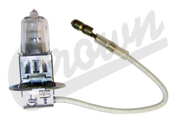 Halogen Bulb (H3)