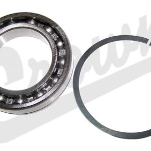 Input Shaft Bearing