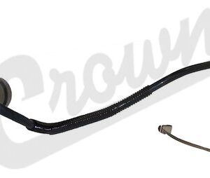 Fuel Filter Assy