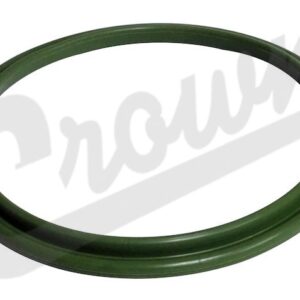Fuel Pressure Regulator Seal