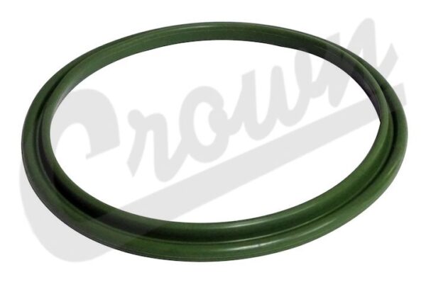 Fuel Pressure Regulator Seal