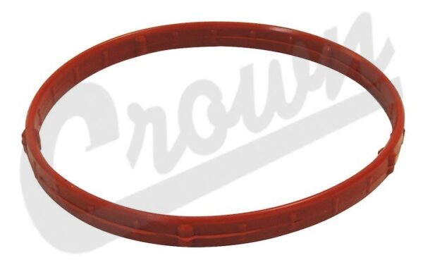Throttle Body Gasket