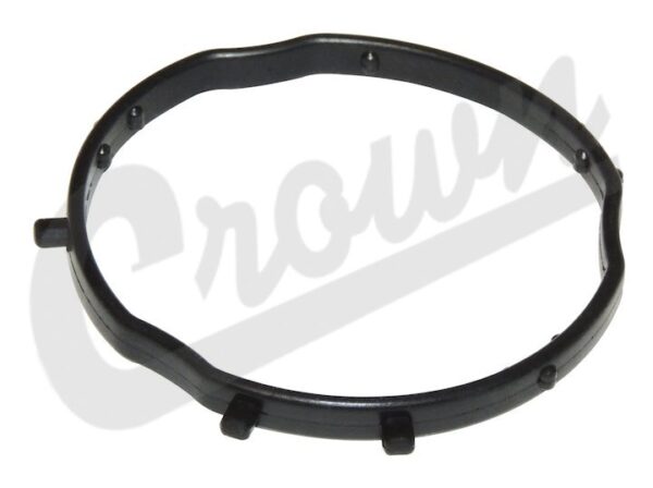 Camshaft Phaser Actuator Seal