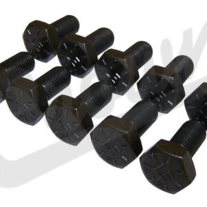 Ring Gear Bolt Kit