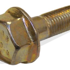 Brake Caliper Bolt (Front)