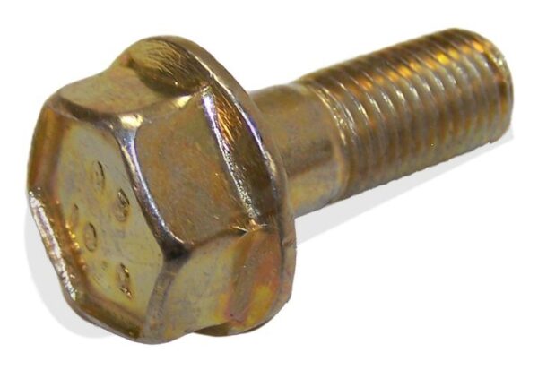 Brake Caliper Bolt (Front)