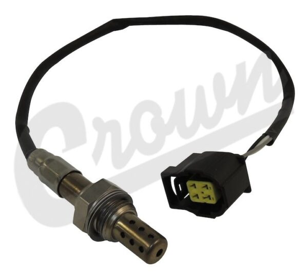 Oxygen Sensor