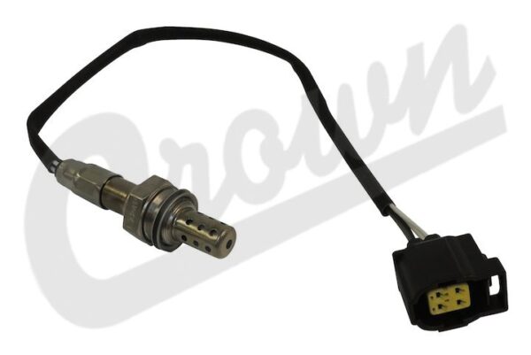 Oxygen Sensor