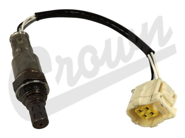 Oxygen Sensor
