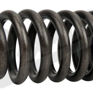 Valve Spring