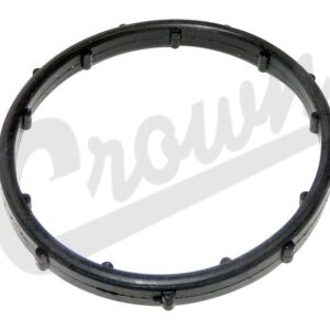 Thermostat Seal