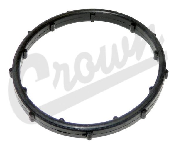Thermostat Seal