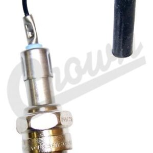Oxygen Sensor