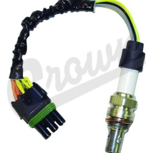 Oxygen Sensor