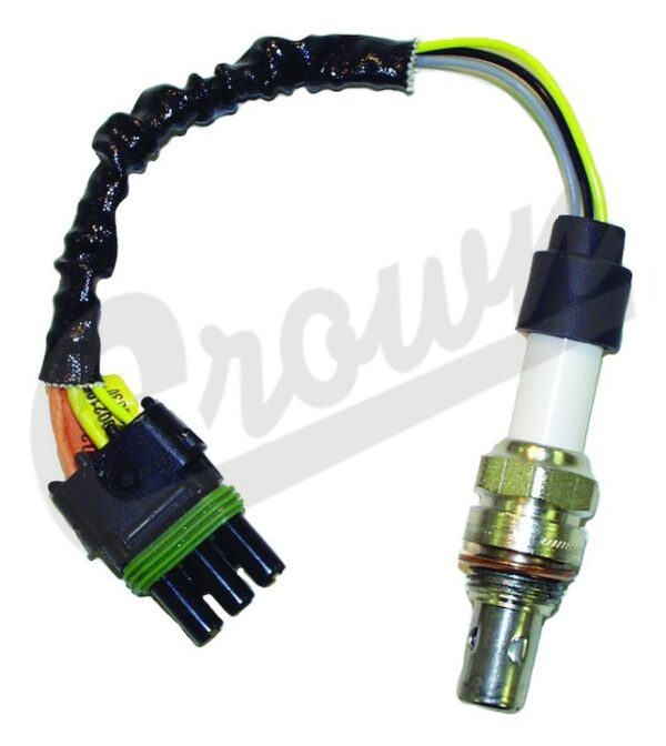 Oxygen Sensor