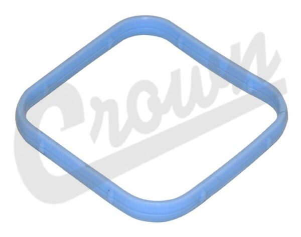 Intake Manifold Seal