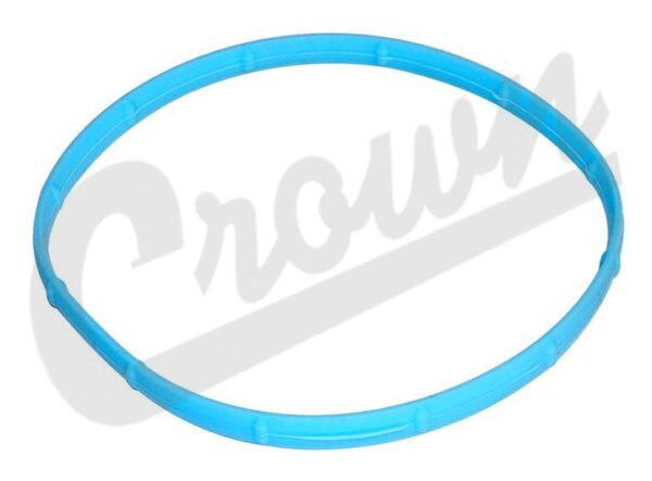Throttle Body Gasket