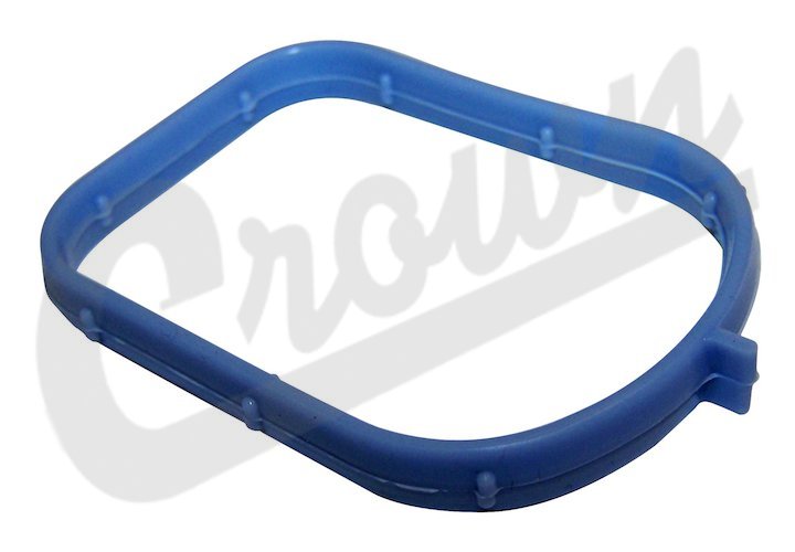 Intake Manifold Seal