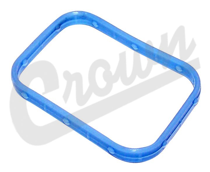 Intake Manifold Seal