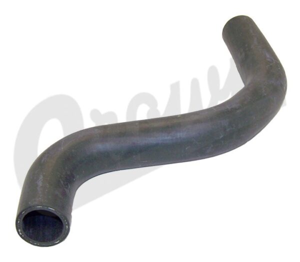 Radiator Hose (Lower-Outlet)