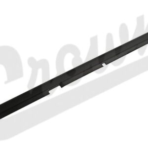 Window Weatherstrip (Rear Right Outer)