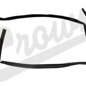 Door Glass Seal Set