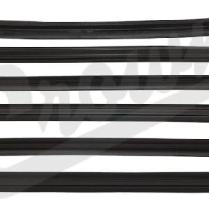 Door Glass Weatherstrip Kit