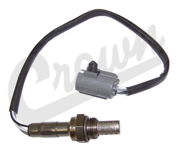 Oxygen Sensor