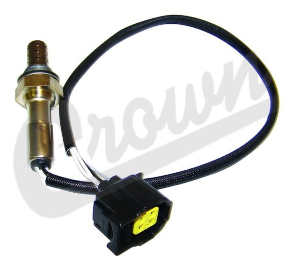 Oxygen Sensor