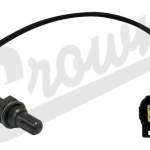 Oxygen Sensor