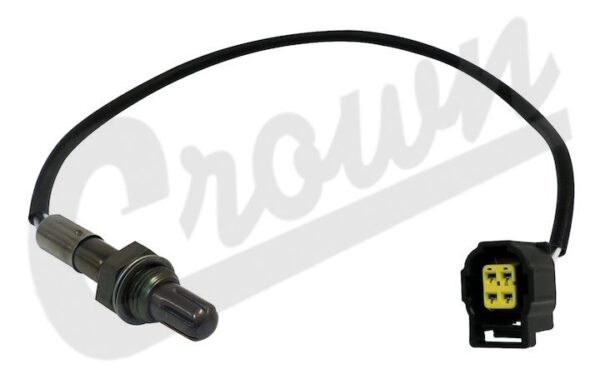Oxygen Sensor