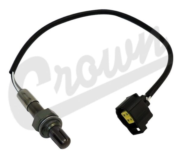 Oxygen Sensor