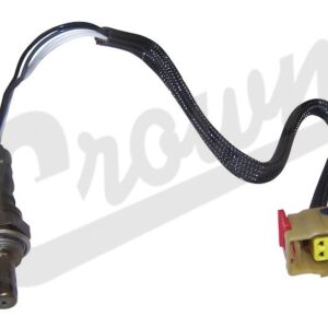 Oxygen Sensor