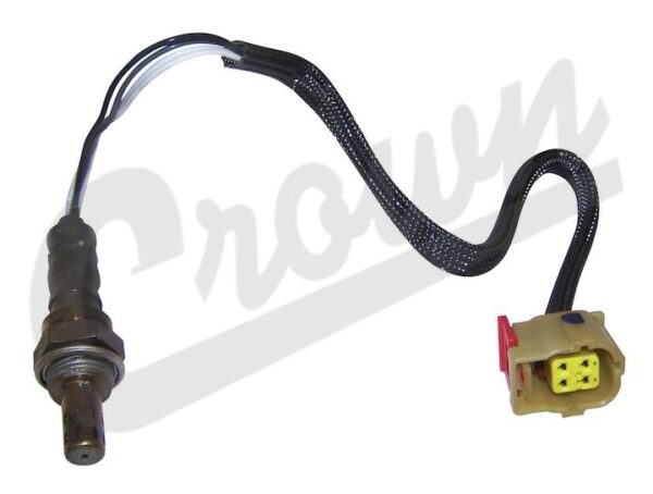 Oxygen Sensor