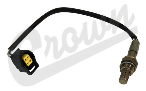 Oxygen Sensor