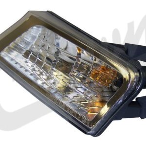 Park & Turn Signal Light (Left)