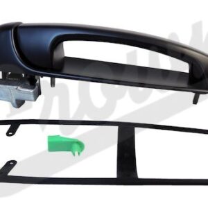 Door Handle (Rear Left)