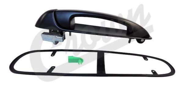 Door Handle (Rear Left)