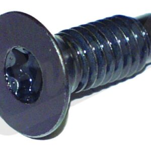 Torx Screw (Windshield Hinge)