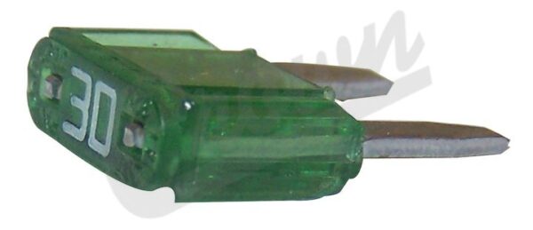 Mini Fuse 30 Amp