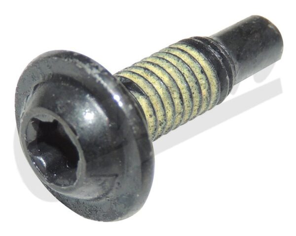 Torx Head Bolt