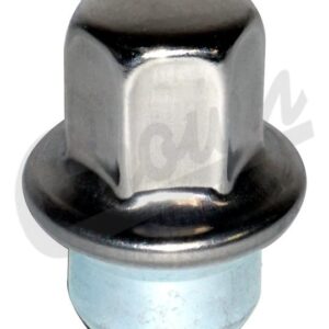 Lug Nut (Stainless)