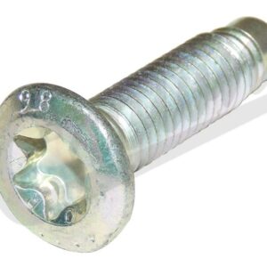 Screw