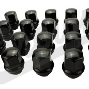 Lug Nut Kit